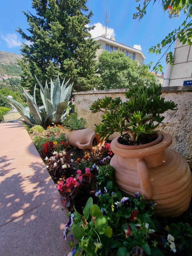 Mavi Apartments Dubrovnik Bagian luar foto